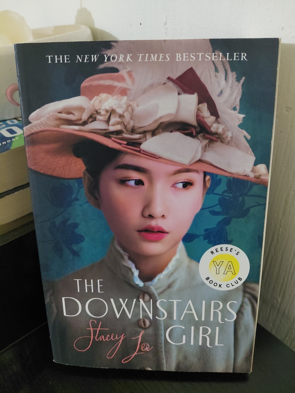 The Downstairs Girl by Stacey Lee - Illustrated Cover in Teal & Pink